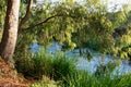 A river in the early morning in Waikato, New Zealand