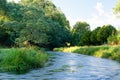 A river in the early morning in Waikato, New Zealand