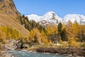 River in alp landscape