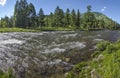 River in the Altai Mountains, summer Royalty Free Stock Photo