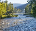 River in the Altai Mountains, summer Royalty Free Stock Photo