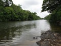 River in the Amazon