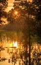 River in the Amazon Rainforest at dusk, Peru, South America Royalty Free Stock Photo