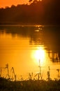 River in the Amazon Rainforest at dusk, Peru, South America Royalty Free Stock Photo