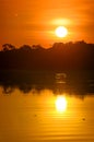 River in the Amazon Rainforest at dusk, Peru, South America Royalty Free Stock Photo