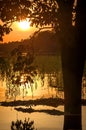 River in the Amazon Rainforest at dusk, Peru, South America Royalty Free Stock Photo