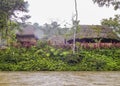 River at Amazonia at Puyo, Ecuador