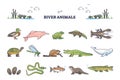 River animals or underwater species in wet environment outline collection set Royalty Free Stock Photo