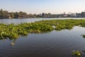 River with aquatic plant, water hyacinth, floating on the surface