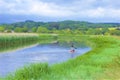 River Arun in West Sussex, English countryside, UK