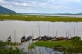 River Of Assam Royalty Free Stock Photo