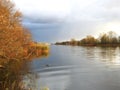 River Atmata , duck and autumn trees, Lithuania Royalty Free Stock Photo