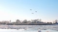 River Atmata , homes and snowy trees , Lithuania Royalty Free Stock Photo