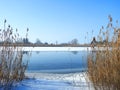 River Atmata and reed plants, Lithuania Royalty Free Stock Photo