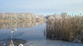 River Atmata in winter, Lithuania Royalty Free Stock Photo