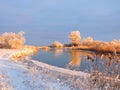 Trees, reed and river Aukstumala in winter, Lithuania