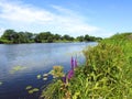 River Aukstumala, trees and flowers, Lithuania