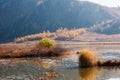 River in the autumn Royalty Free Stock Photo