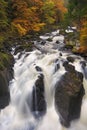 River through autumn colours at the Hermitage, Scotland Royalty Free Stock Photo