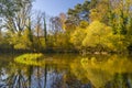 River in autumn Royalty Free Stock Photo