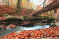 River in autumn forest, amazing panoramic nature autumn scenery. Royalty Free Stock Photo