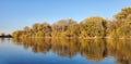 river and autumn forest under blue sky. reflection in water and beauty in nature Royalty Free Stock Photo