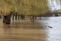 View by Lucy`s Mill of flooding in Stratford upon Avon Warwickshire with bridge in background Royalty Free Stock Photo