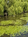 River Avon Stratford upon avon