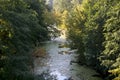 River backwater in autumn.