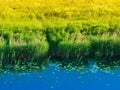 River backwater during sunset landscape