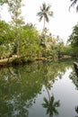 River of the backwaters at Kollam Royalty Free Stock Photo