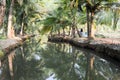 River of the backwaters at Kollam Royalty Free Stock Photo