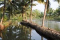 River of the backwaters at Kollam Royalty Free Stock Photo