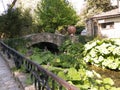 River in Balchik Palace gardens, Bulgaria