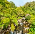 River in Banaue Rice Terraces - Luzon island, Philippines Royalty Free Stock Photo