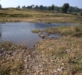 A river and river bank