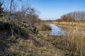 River bank at the end of winter Royalty Free Stock Photo