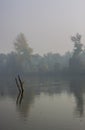 River bank hidden in the mist in early morning Royalty Free Stock Photo