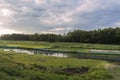 River bank landscape in an beautiful afternoon at sunset time with beautiful forest and clouds and green field. outdoor