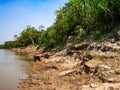 River bank in Peru Royalty Free Stock Photo