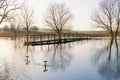 River bank in spring. A small pedestrian bridge across the river Royalty Free Stock Photo