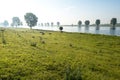 River banks at dawn on a windless day Royalty Free Stock Photo