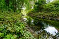 River banks in the forrest