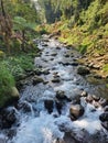 River Banyuwangi KaliBendo is beutyfull East Java Royalty Free Stock Photo