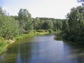 River with a bay in the thicket trees on the shore a pond for fishing and recreation