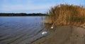 River beach in national park