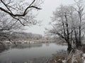 River and beautiful white trees in frost, Lithuania Royalty Free Stock Photo