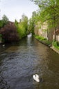River of Begijnhof in Bruges Royalty Free Stock Photo