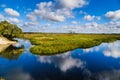 River Biebrza, Podlasie-Poland Royalty Free Stock Photo