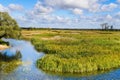 River Biebrza, Podlasie-Poland Royalty Free Stock Photo